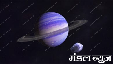 neptune-amravati-mandal