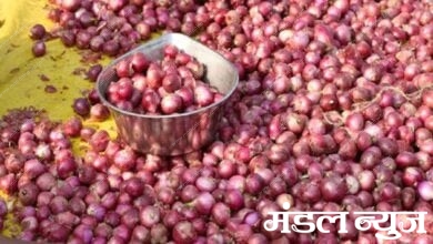 Onion-amravati-mandal