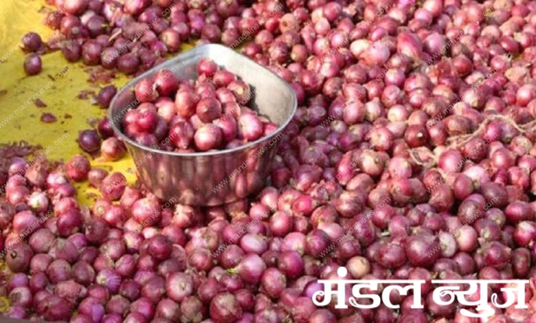 Onion-amravati-mandal