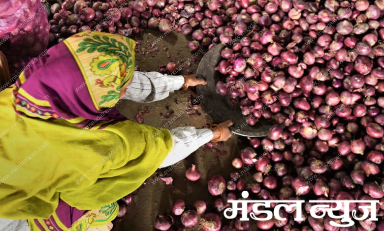 onion-rate-amravati-mandal