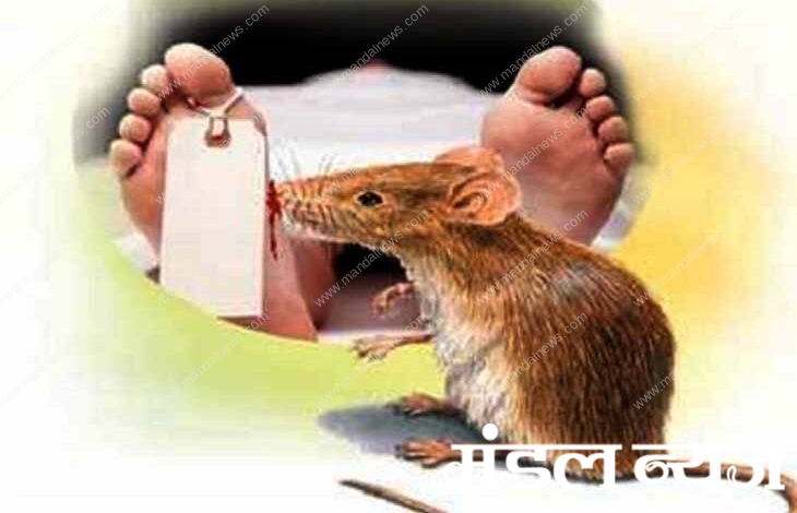 rat-corpe-amravati-mandal