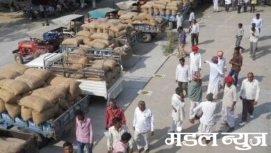 Agricultural-produce-market-amravati-mandal