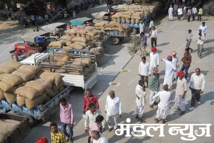 Agricultural-produce-market-amravati-mandal