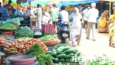 vegetable-market-amravati-mandal
