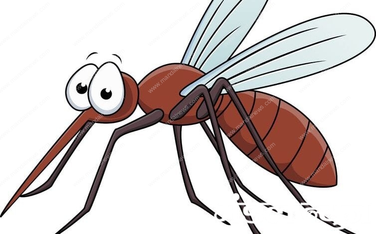 Dengue-amravati-mandal