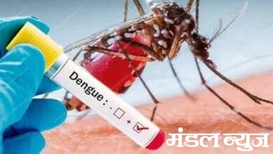 Dengue-positive-amravati-mandal