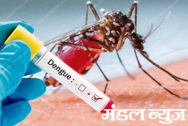 Dengue-positive-amravati-mandal