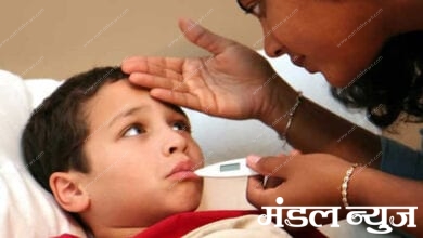 Viral-fever-amravati-mandal