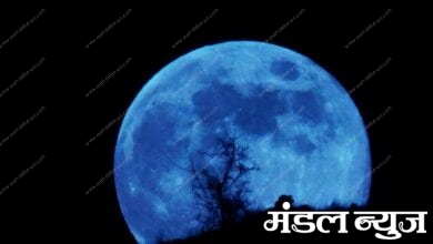 Blue-Moon-Amravati-Mandal