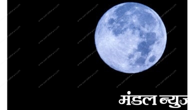 Blue-Moon-Amravati-Mandal