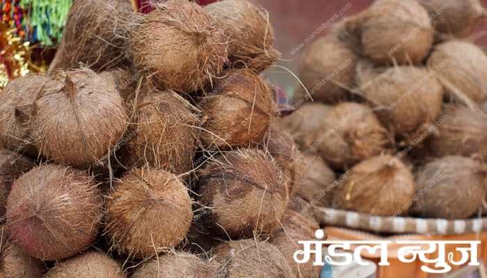 Coconut-Amravati-Mandal