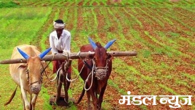 Farmer-Amravati-Mandal