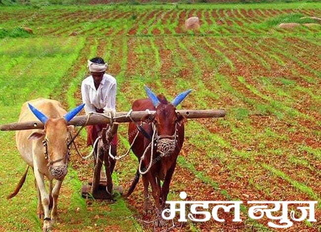 Farmer-Amravati-Mandal