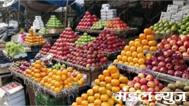 Fruits-Amravati-Mandal