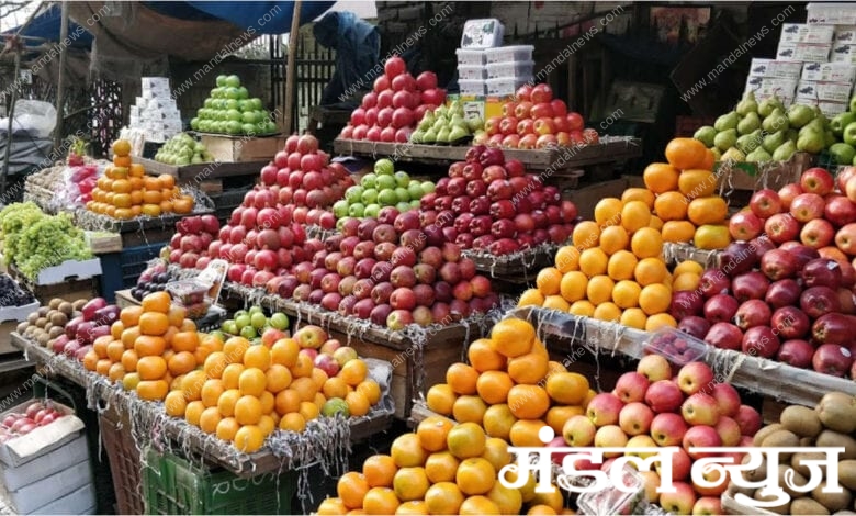 Fruits-Amravati-Mandal