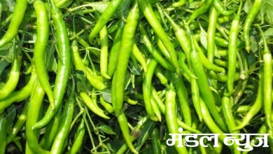 Mirchi-Amravati-Mandal