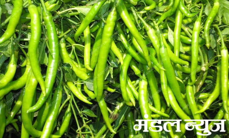 Mirchi-Amravati-Mandal