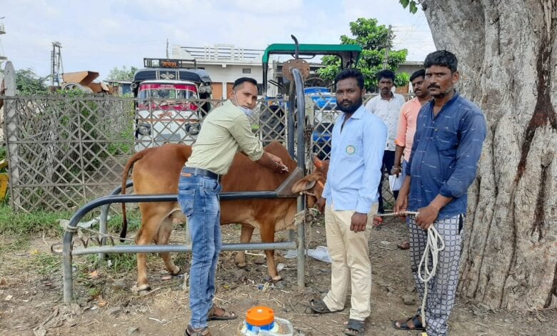 Nandgaon-Amravati-Mandal