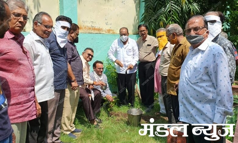 Tree-Plantation-Amravati-Mandal