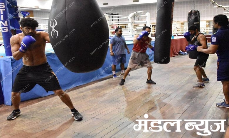 Indian-Boxer-Amravati-Mnedal