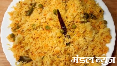 Khichadi-Amravati-mandal