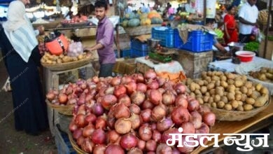 Onion-Amravati-Mandal