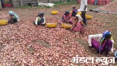 Onion-Amravati-Mandal
