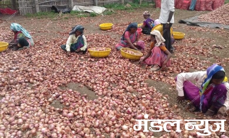 Onion-Amravati-Mandal
