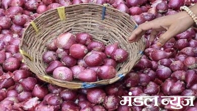 Onion-Amravati-Mandal