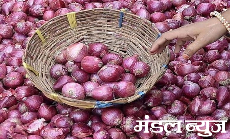 Onion-Amravati-Mandal