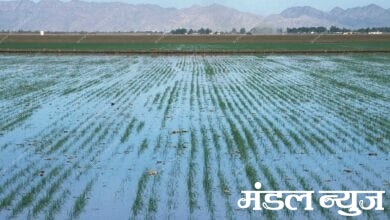 Rain-Amravati-Mandal