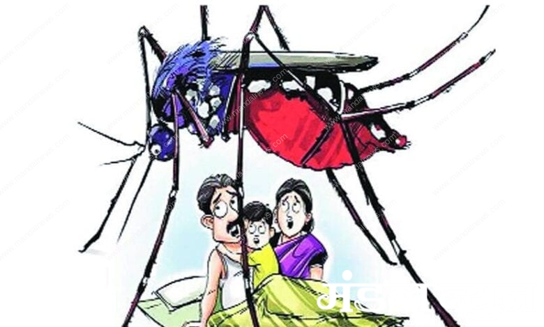 Dengue-amravati-mandal