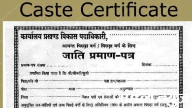 caste-certificate-Amravati-Mandal