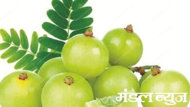 Amla-amravati-mandal