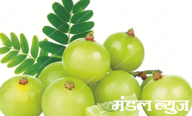 Amla-amravati-mandal