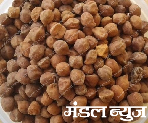 Chana-Seed-amravati-mandal