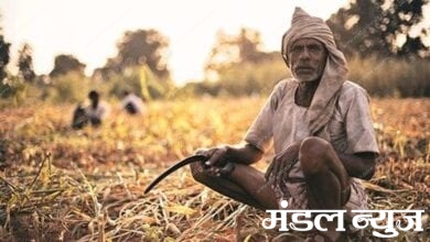 farmer-Amravati-Mandal