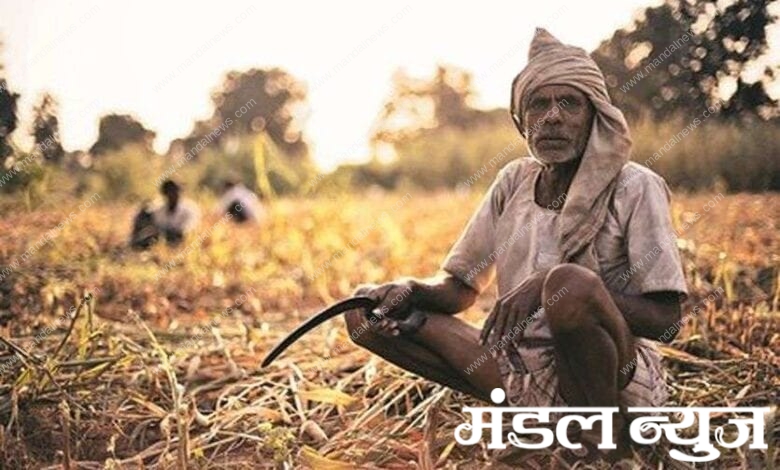 farmer-Amravati-Mandal