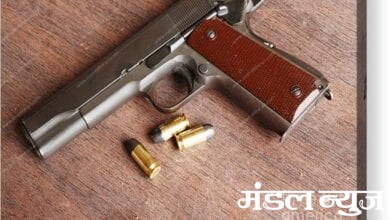 Pistol-live-cartridge-amravati-mandal