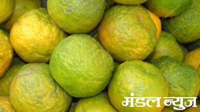 Oranges-amravati-mandal