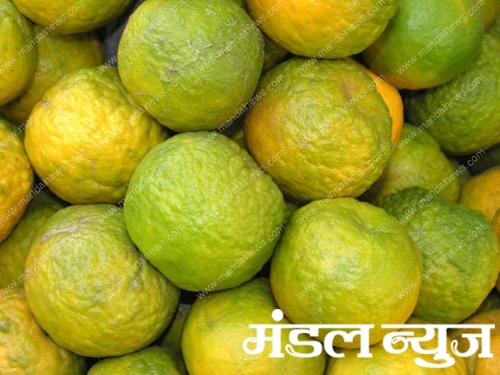 Oranges-amravati-mandal