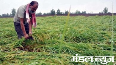 Farmer-amravati-mandal