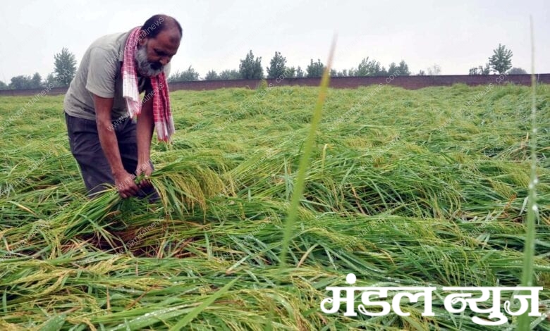 Farmer-amravati-mandal