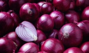 onion-amravati-mandal