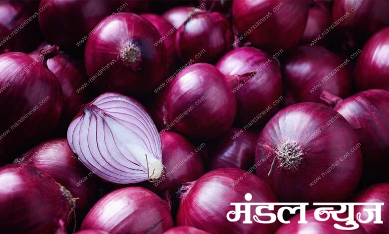 onion-amravati-mandal