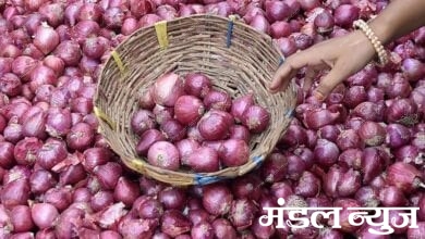 onion-amravati-mandal