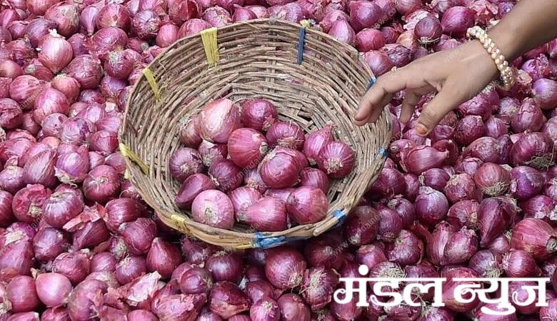 onion-amravati-mandal