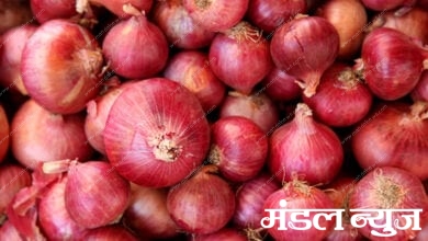 onion-amravati-mandal