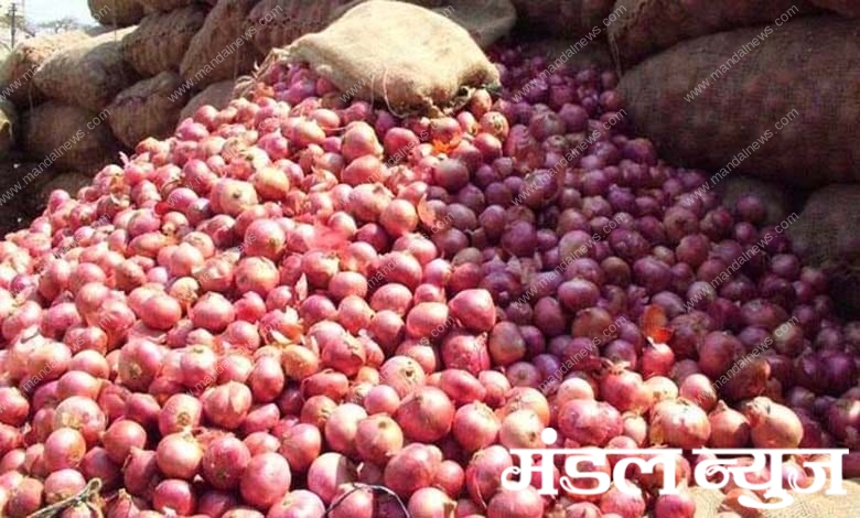 onion-amravati-mandal