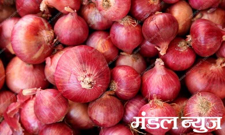 onion-amravati-mandal